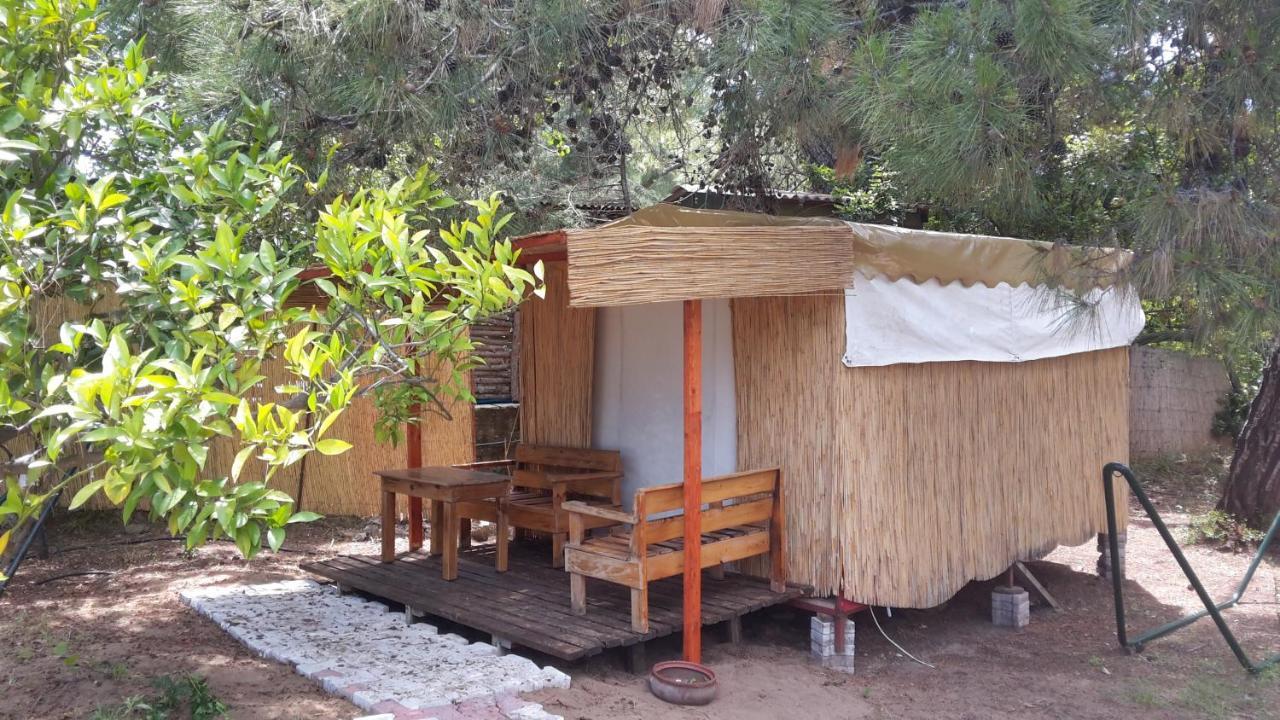 Secret Garden Hotel & Bungalows Çıralı Eksteriør bilde
