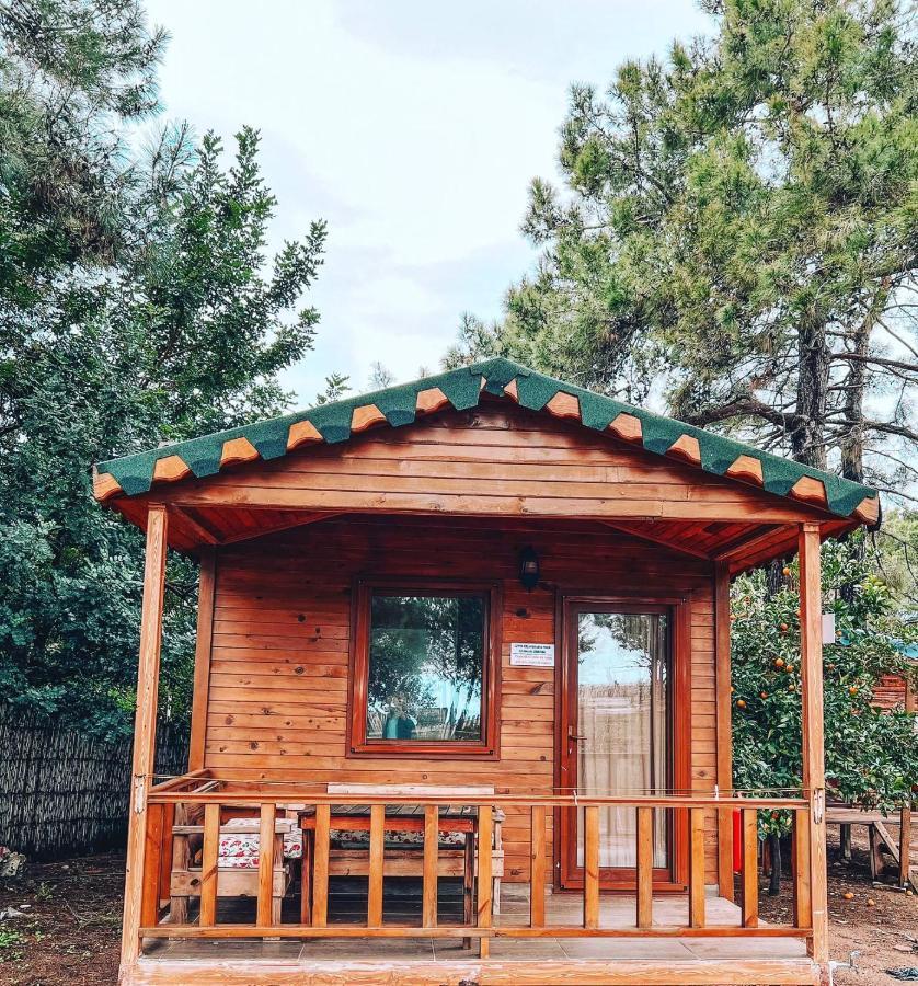 Secret Garden Hotel & Bungalows Çıralı Eksteriør bilde
