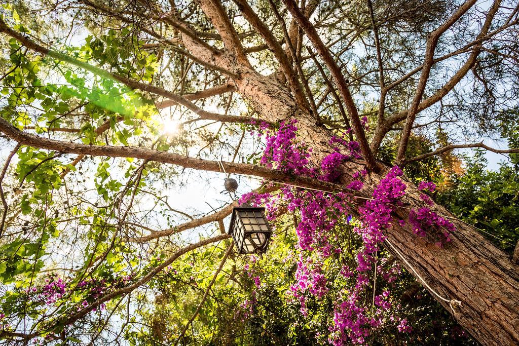 Secret Garden Hotel & Bungalows Çıralı Eksteriør bilde