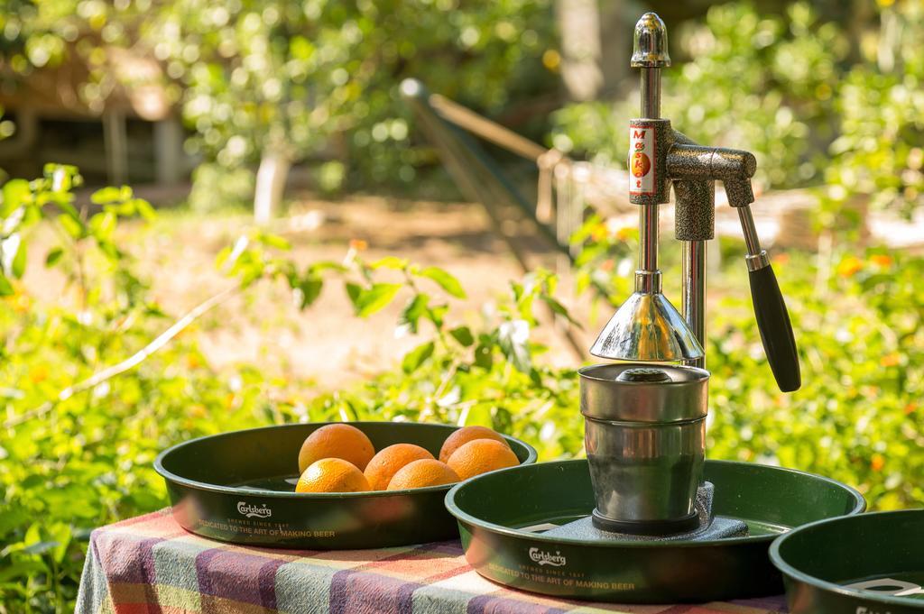 Secret Garden Hotel & Bungalows Çıralı Eksteriør bilde