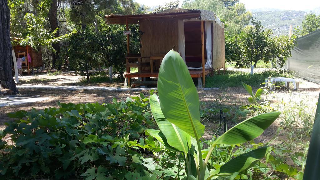 Secret Garden Hotel & Bungalows Çıralı Eksteriør bilde