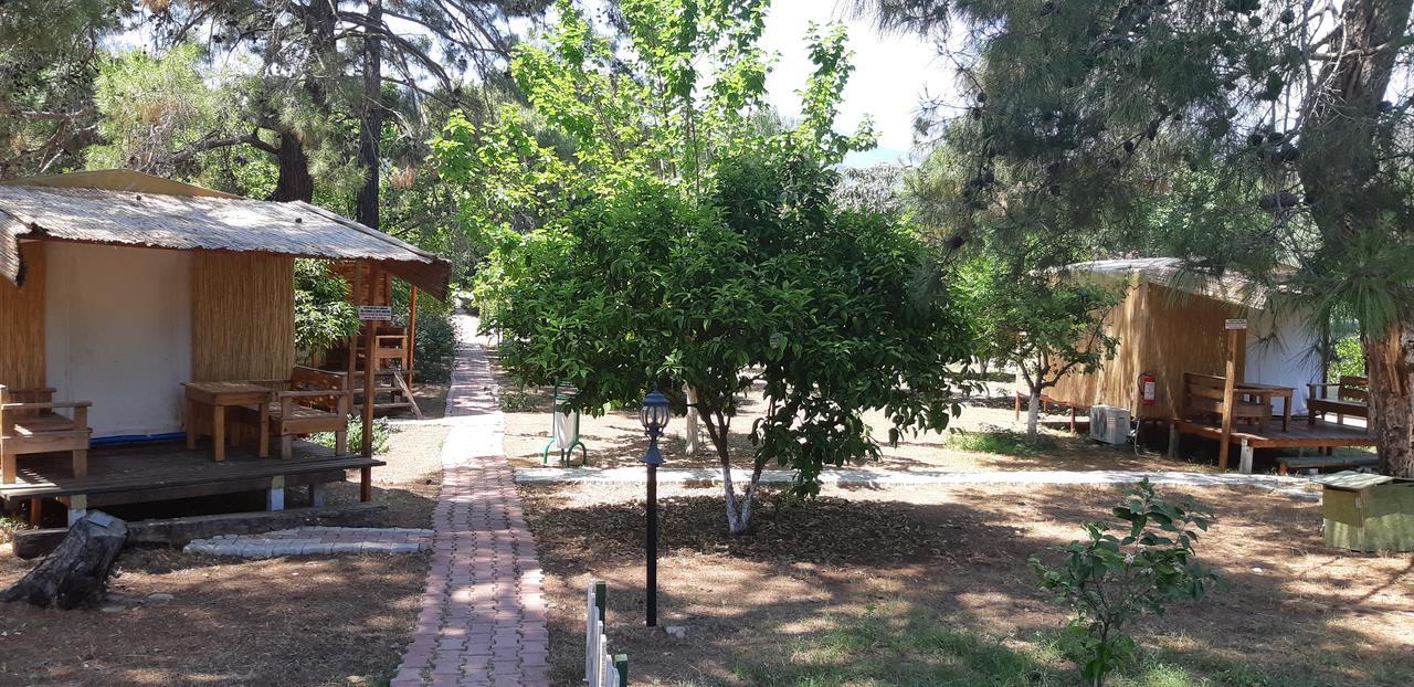 Secret Garden Hotel & Bungalows Çıralı Eksteriør bilde