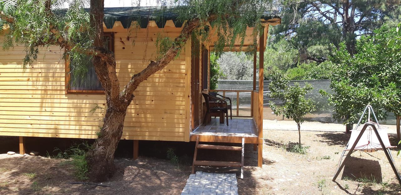 Secret Garden Hotel & Bungalows Çıralı Eksteriør bilde