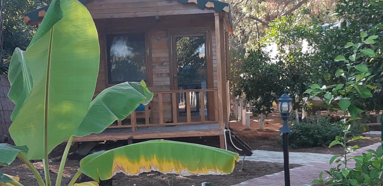 Secret Garden Hotel & Bungalows Çıralı Eksteriør bilde