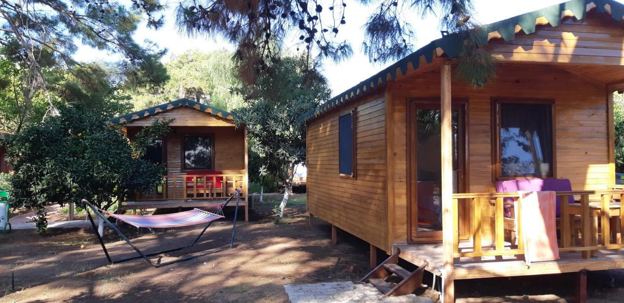 Secret Garden Hotel & Bungalows Çıralı Eksteriør bilde